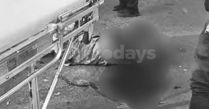 Ibu dan Anak Tabrak Pohon di Wonorejo Pasuruan, Satu Tewas