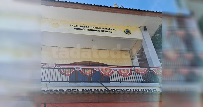 178 Pendaki Terjebak di Gunung Semeru usai Erupsi, Evakuasi Malam Dianggap Berisiko