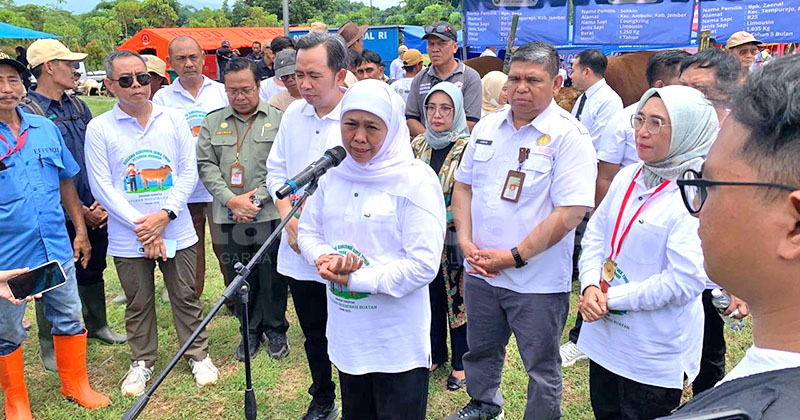 Jatim Surplus Daging, Gubernur Khofifah Tolak Jadi Titik Bongkar Impor