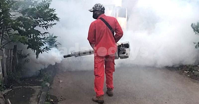 Kasus DBD di Kota Pasuruan 2025 Naik, Dinkes: Perubahan Iklim Jadi Salah Satu Faktor Penyebab