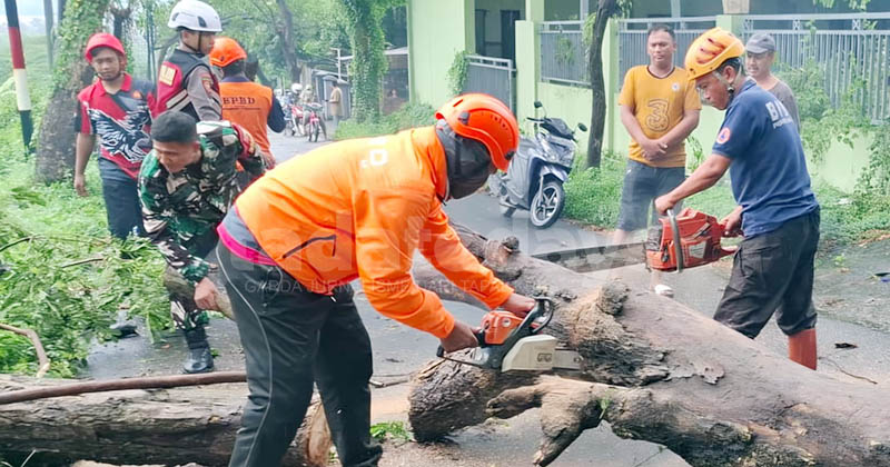 Puting Beliung Intai Pasuruan, Dua Rumah Rusak dan Pohon Tumbang, BPBD Minta Warga Waspada