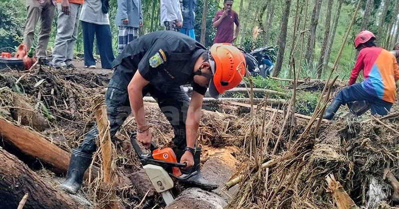 Banjir di Tutur Pasuruan Seret Gelondongan Pinus, Tutup Jembatan Antar Dusun