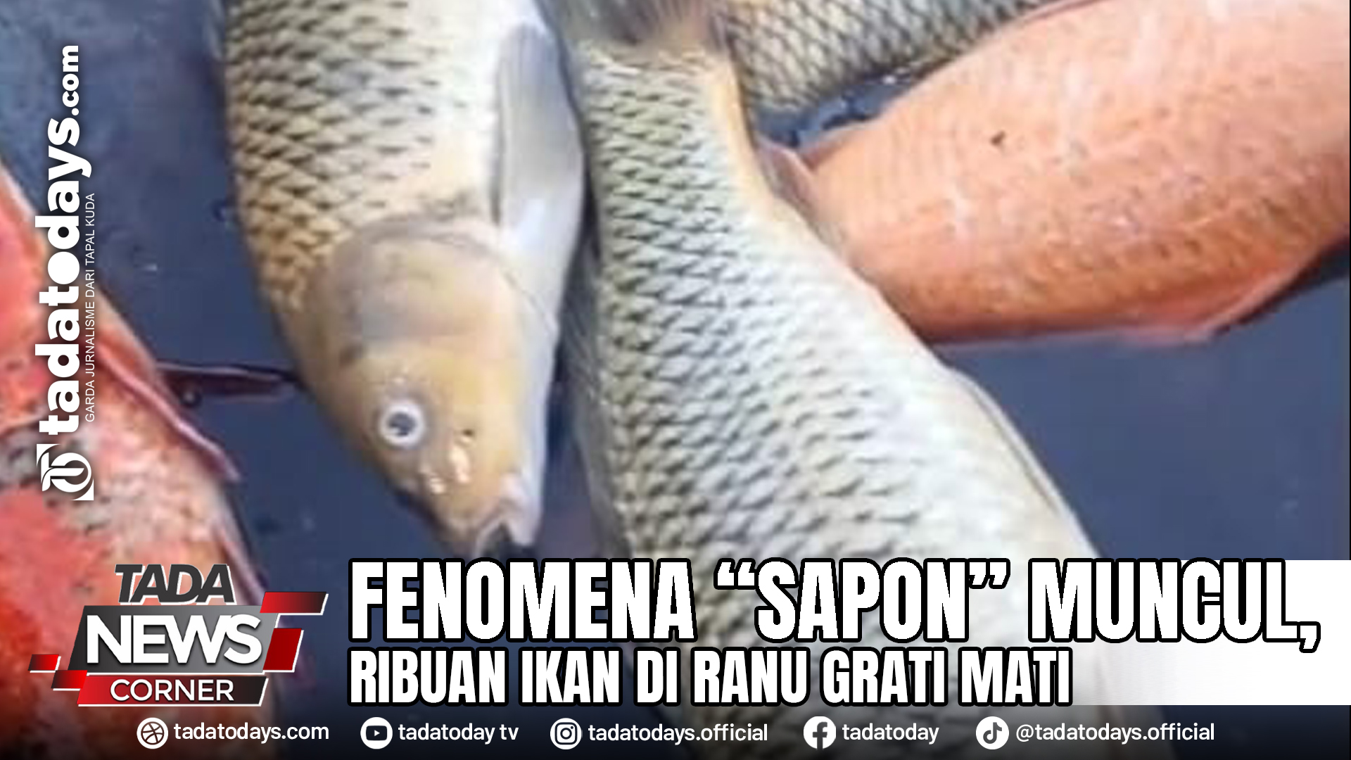 Optimizing Google Ads to Boost Revenue