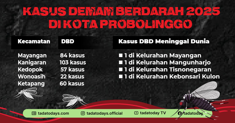 Sepanjang Tahun 2025, Ada 326 Kasus DBD di Kota Probolinggo, 4 Orang Meninggal