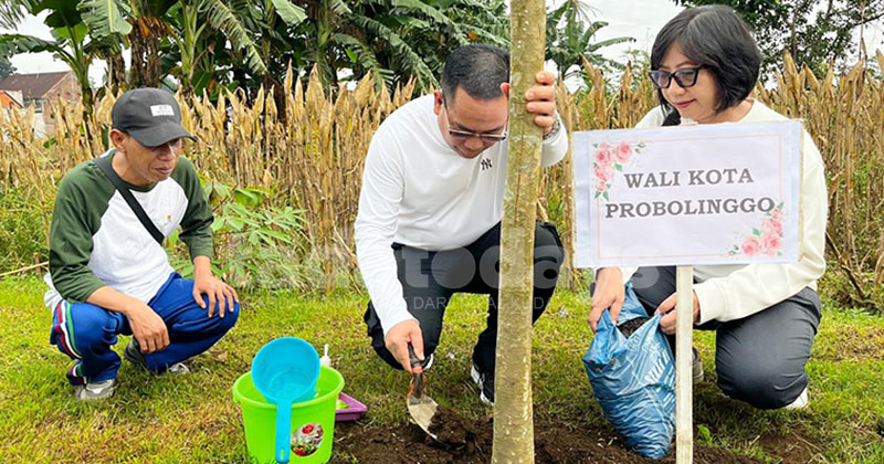 “Sahabat Pohon”, Gerakan Satu Orang Menanam Satu Pohon, Diinisiasi DLH Kota Probolinggo