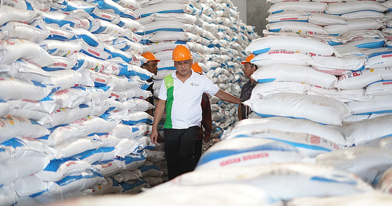 Tambahan 3 Ribu Ton Pupuk Subsidi Masuk Jember, 30 Persen dari Jatah Jatim