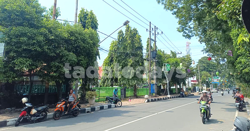 Menjajal Wifi Gratis di Jalan Suroyo Kota Probolinggo: Akses Mudah, Kecepatan Dikeluhkan, Keamanan Jadi Pertimbangan