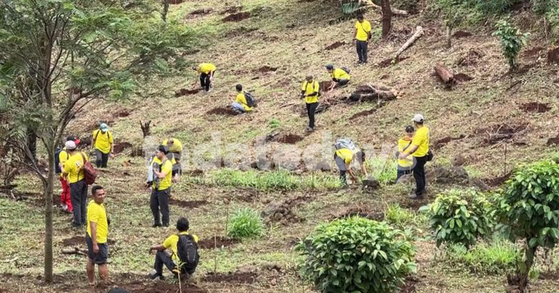 Setahun Bencana Tanah Bergerak di Purwodadi Pasuruan, Ribuan Pohon Ditanam untuk Mitigasi