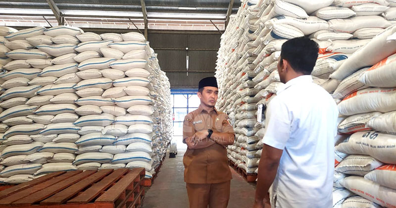 Luas Panen Padi di Kota Pasuruan Berkurang, Produksi Beras Tahun 2025 Ikut Merosot 586 Ton