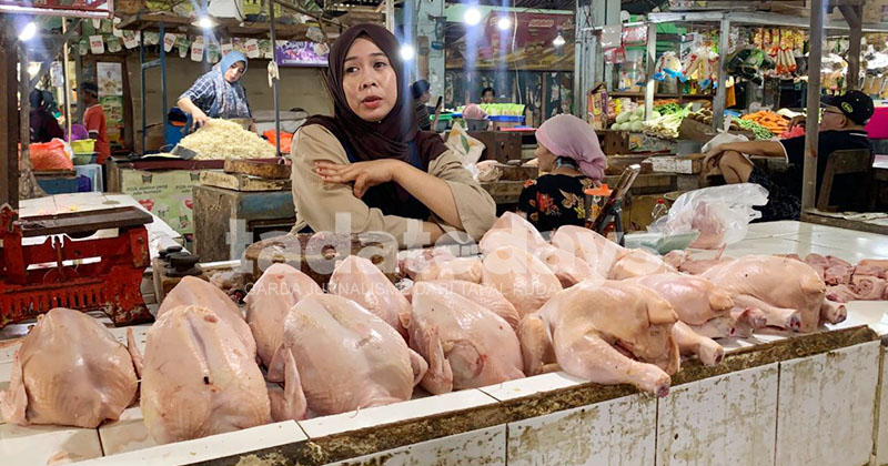 Lonjakan Harga Ayam Tak Sejalan dengan Penjualan, Pedagang Mulai Cemas