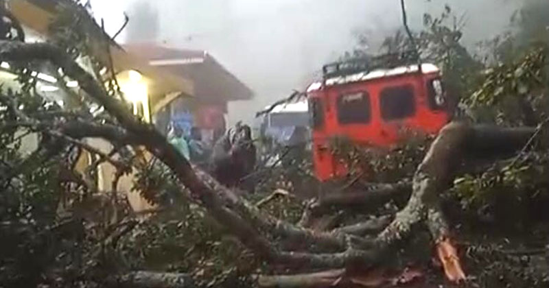 Longsor Terjang Bukit Kedaluh dan Dingklik, 7 Motor Tertimbun di Jalur Wisata Penanjakan