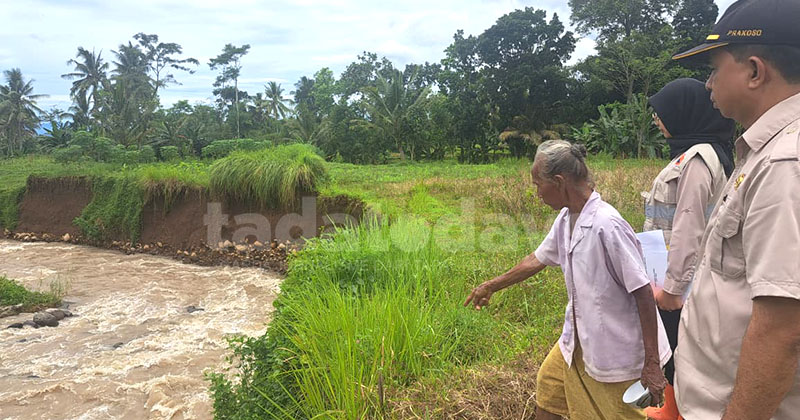 27 Titik Infrastruktur Rusak Diterjang Cuaca Ekstrem, BPBD Jember Prioritaskan Akses Vital Warga
