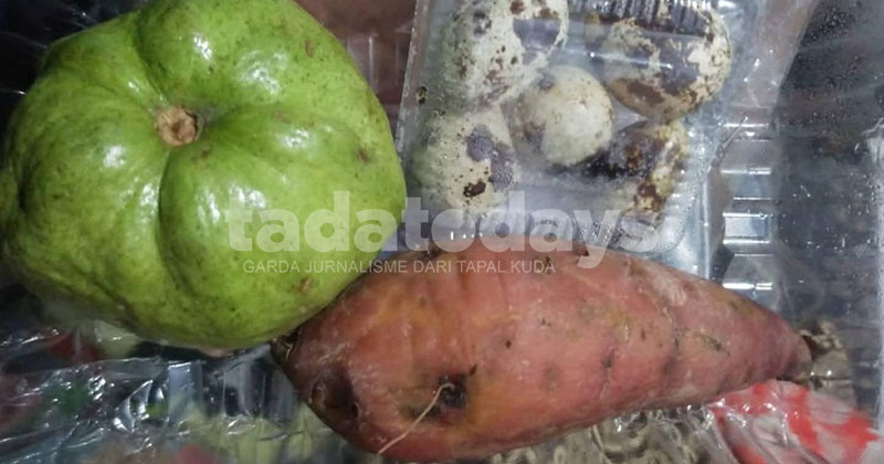 Menu MBG Ramadan di Jember Diprotes, PDIP Minta Satgas Turun dan Tindak SPPG