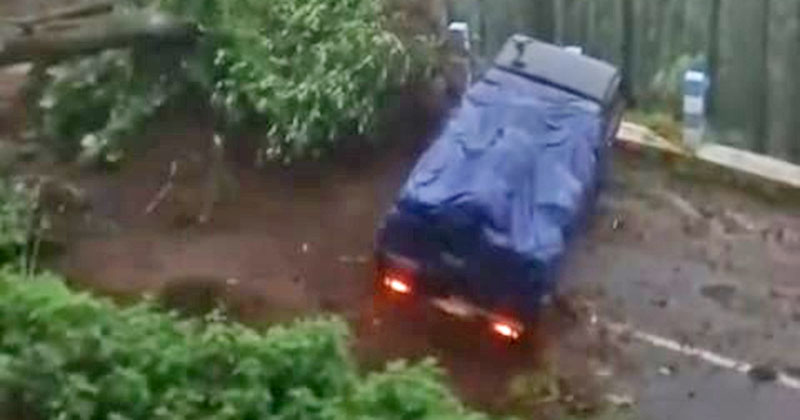 Longsor di Tosari Pasuruan Timpa Truk hingga Jatuh ke Jurang, 3 Orang Terluka