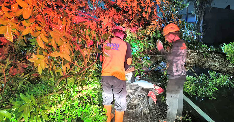 Angin Kencang Sapu Enam Kecamatan di Jember, Dua Warga Dilarikan ke Rumah Sakit