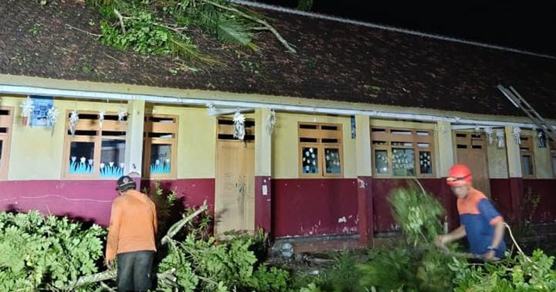 Angin Kencang di Jember Rusak 4 Sekolah, Tumbangkan 51 Pohon dan Belasan Rumah Terdampak