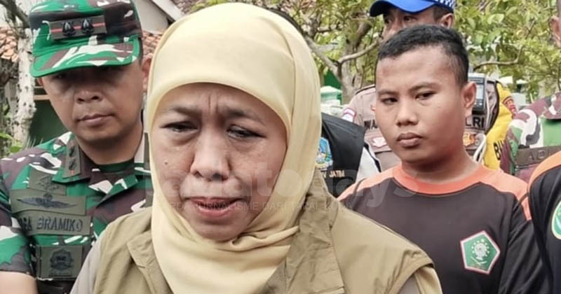 Pemprov Jatim Siapkan Bantuan Benih bagi Petani Gagal Panen karena Banjir di Pasuruan