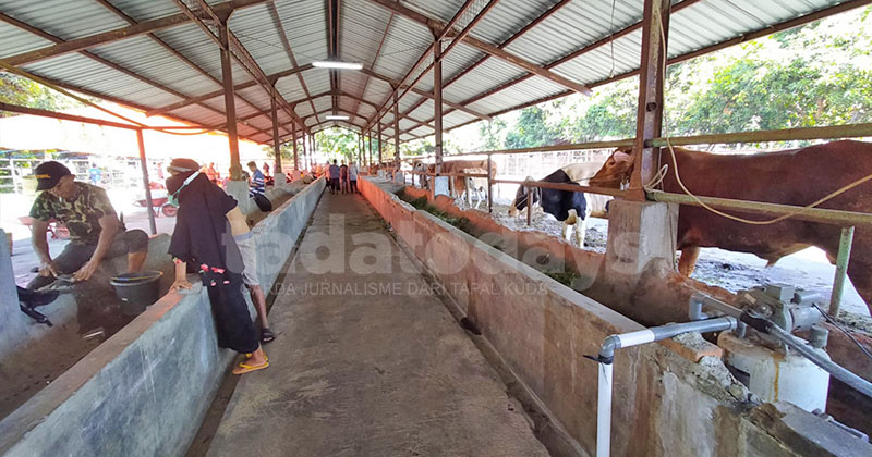 Pemkot Pasuruan Masih Telusuri Penyebab Kelangkaan Sapi dan Lonjakan Harga yang Bikin Pedagang Mogok