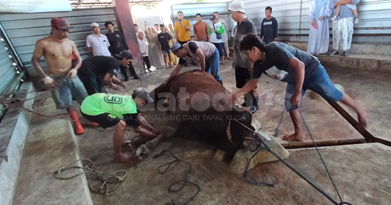 Pemkot Ungkap Harga Sapi Naik Jadi Penyebab Pedagang Mogok Masal di RPH