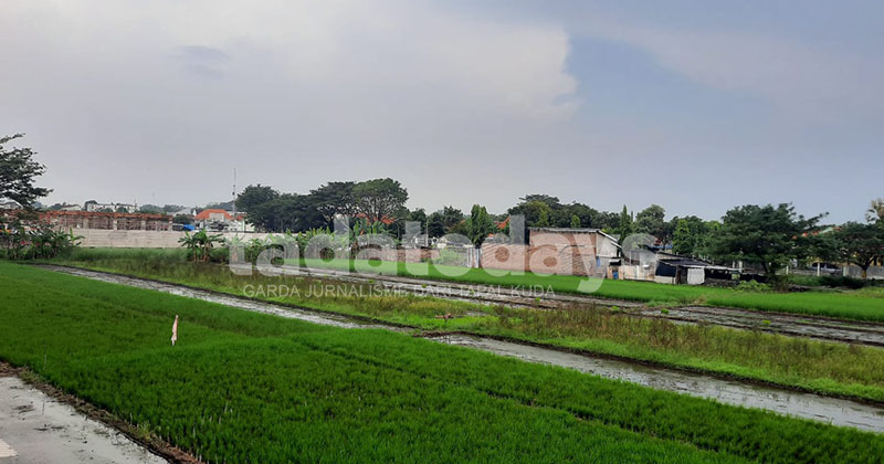 Dorong Petani Tak Gampang Alih Fungsi Lahan, Pemkot Pasuruan Bebaskan Pajak PBB-P2 Sektor Pertanian