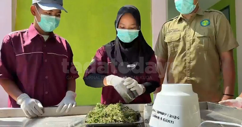 Siswa SMKN 1 Grati Pasuruan Sulap Ganggang Ranu Jadi Pakan untuk Ayam Petelur