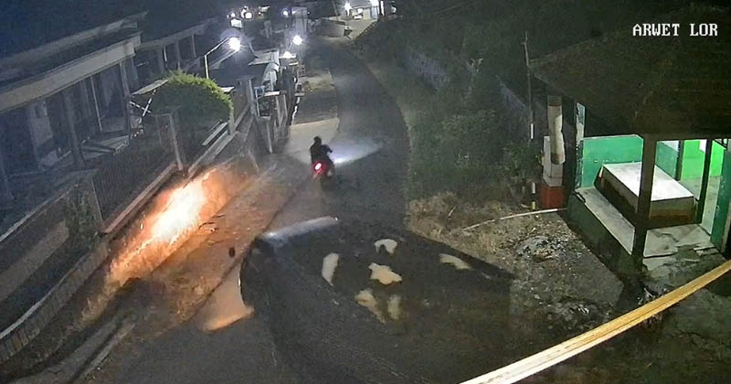 Maling Ternak di Tutur Belum Tertangkap, Dua Ekor Sapi Warga Kembali Jadi Korban